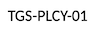 policy-number-after